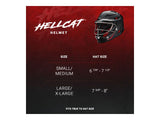 Easton Hellcat Slowpitch Fielding Helmet White